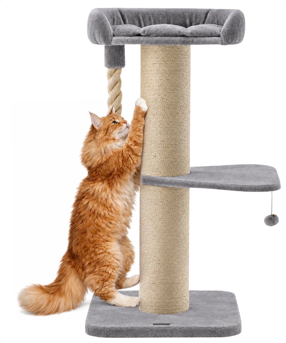 Krabpaal met Bedje en Opstap voor Grote Katten