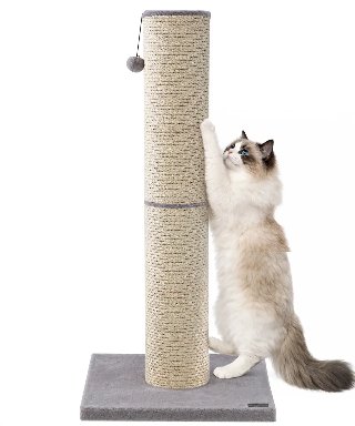 Krabpaal voor Grote Katten